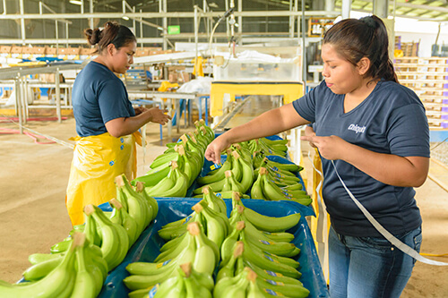 Chiquita gaat de uitdaging aan om vrouwen te emanciperen - 3