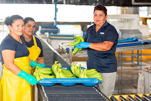 Chiquita gaat de uitdaging aan om vrouwen te emanciperen - 5