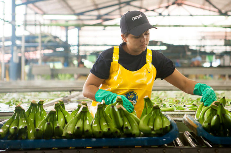 Het beheer van de watervoetafdruk op plantages van Chiquita levert per jaar een besparing van 1,8 miljard liter water op - 1