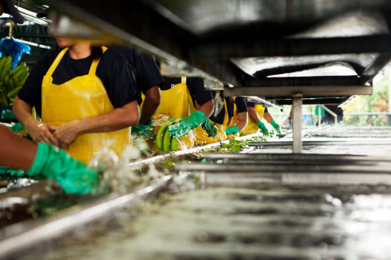 Het beheer van de watervoetafdruk op plantages van Chiquita levert per jaar een besparing van 1,8 miljard liter water op - 2