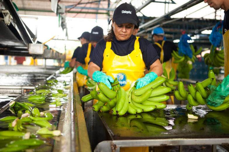 Het beheer van de watervoetafdruk op plantages van Chiquita levert per jaar een besparing van 1,8 miljard liter water op - 3