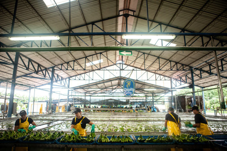 Het beheer van de watervoetafdruk op plantages van Chiquita levert per jaar een besparing van 1,8 miljard liter water op - 4