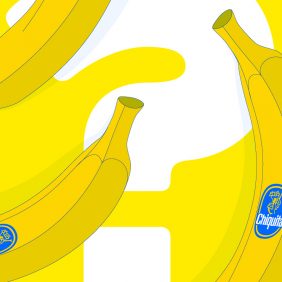 Ontdek de bananen van het beste bananenmerk