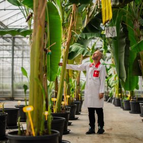 Chiquita onthult innovatief Yelloway-initiatief